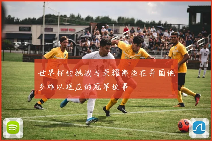 世界杯的挑战与荣耀那些在异国他乡难以适应的冠军故事